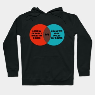 Funny Venn Diagram of Me I know exactly what I’m doing - I have no idea what I’m doing Hoodie